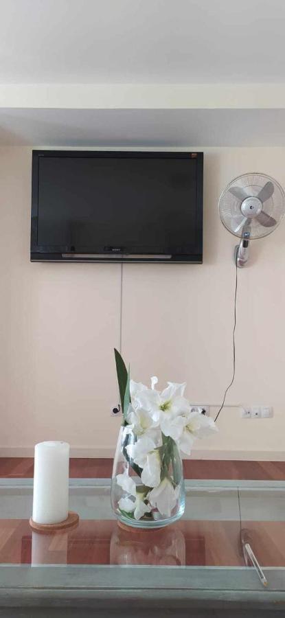 Precioso Apartamento Campo Golf ウエスカ エクステリア 写真